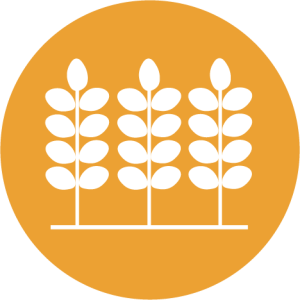 Icon features 3 stalks with leaves growing in a netowrk